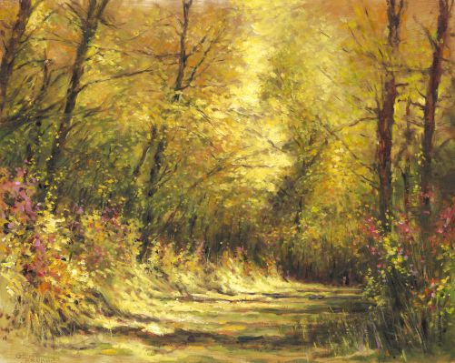 fallsplendorbygeneprokopsml