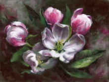 Apple Blossom