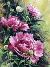 Three Pink Peonies