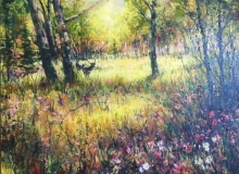 Elk in Woods