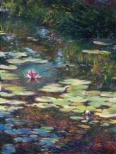 Water lillies